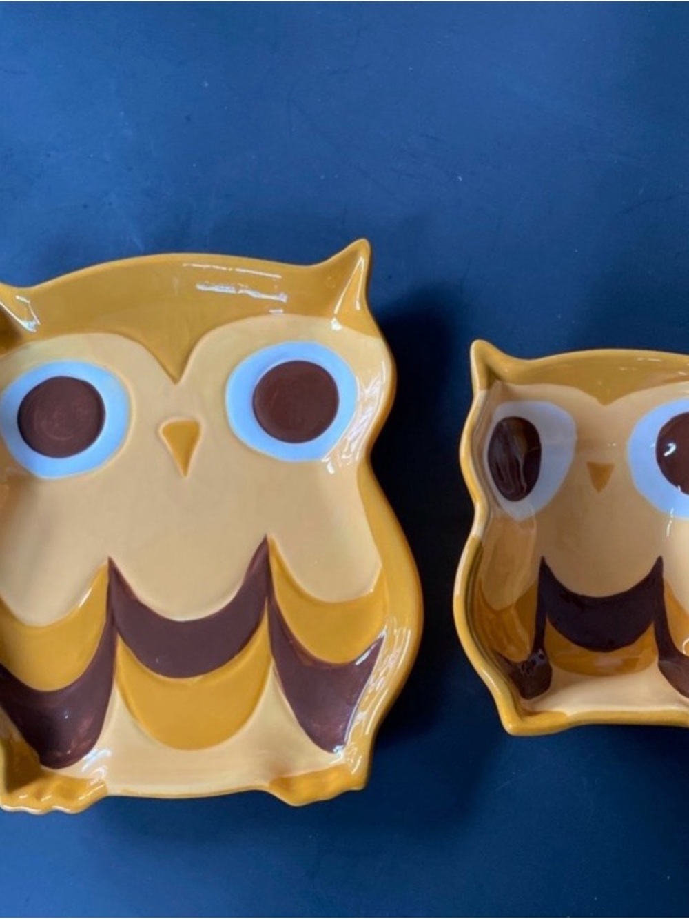 Ceramic Mesa Owl Plate & Bowl Serving Set